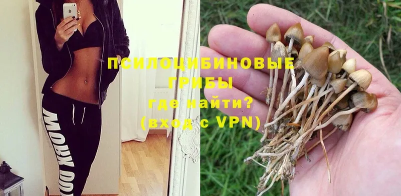 OMG зеркало  Бутурлиновка  Галлюциногенные грибы MAGIC MUSHROOMS 